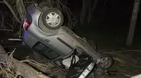 Şarkışla’da Otomobil Ağaca Çarpıp Devrildi