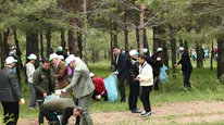 Zara’da Öğrenciler ve Kurum Amirleri “Orman Benim” Kampanyası İçin Sahaya İndi