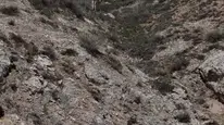 Sivas’ta Mantar Toplamaya Giden Şahıs Kayboldu!