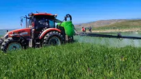 Sivas'ta Buğday Tarlalarında Sarı Pas Alarmı! Çiftçilere Acil İlaçlama Uyarısı