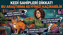 Kedi Sahipleri Dikkat! Bu Araştırma Keyfinizi Kaçırabilir