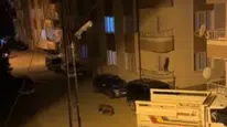 Sivas’ta Ayı Alarmı: Gündüz Kırsalda, Gece Mahalle Aralarında Görülüyor