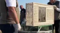 Sivas’ta Yuvadan Düşen İki Kerkenez Yavrusu Doğaya Kazandırıldı
