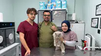 Veterinerde “deprem” etkisi: Sokak kedisi kliniği birbirine kattı