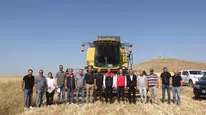 Sivas’ta ilk kez toprakla buluşturulan 5 farklı çeşit buğday hasat edildi