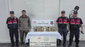 Sivas’ta Usulsüz Alıkonulan 4 Kınalı Keklik Doğaya Bırakıldı