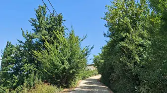 Sivas’ta Köy Yolları Modernize Ediliyor