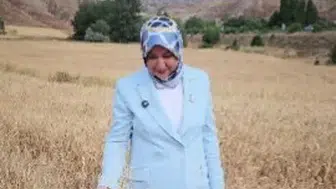 Rukiye Toy Sivas’ta Yılın İlk Hasadına Katıldı