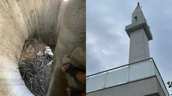 Merkezi Ezan Sistemi Sonrası Minarelerde Kuş İstilası