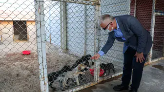 Sivas Valisi Şimşek, Hayvan Rehabilitasyon Merkezinde İncelemelerde Bulundu