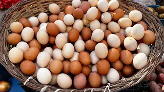 Okul öncesi zam dalgası! Yumurtanın fiyatı cep yaktı