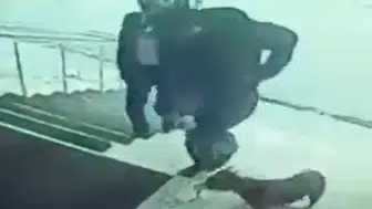Köpek tekmeleyen kaymakama soruşturma