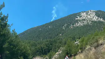 Fethiye Nif Mahallesi'nde Orman Yangını: Söndürme Ekipleri Seferber Oldu