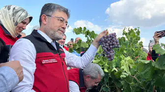 Üzüm Üretiminde Tarihi Rekor: Bakan Yumaklı Açıkladı