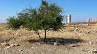 35 Yaşındaki Şahıs Boş Arazide Ölü Bulundu
