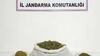 Diyarbakır’da Dev Uyuşturucu Operasyonu: 144 Bin Kök Ele Geçirildi