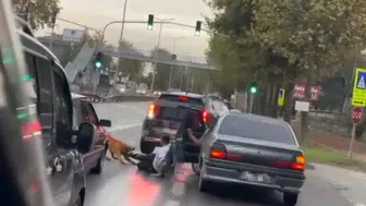 Başıboş Köpek Dehşeti: Yolda Yürüyen Vatandaşa Saldırdı