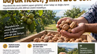 170 dönümlük ceviz bahçesinde hedef 200 ton! İşte üreticinin planı