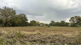 Kastamonu'da Silahlı Kavga: Tarla Olayında 4 Kişi Yaşamını Yitirdi