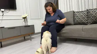 Panda Suratlı Köpek İstediler! Gelen Köpekle Hayatları Değişti