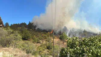 Alevler Yerleşim Yerlerine Yaklaştı! Bursa’da Orman Yangını Paniği