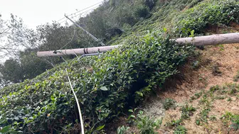 Artvin'de Fırtına Ortalığı Savaş Alanına Çevirdi! 3 İlçede Hasar