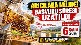 Arıcılık Desteklerinde Son Tarih Değişti! Üreticilere Ek Süre