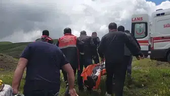 İmranlı’da Ayı Saldırısı: Yaralı Hastaneye Kaldırıldı