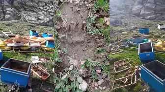 Sivas'ta Kış Uykusundan Uyanan Ayı Arı Kovanlarını Parçaladı