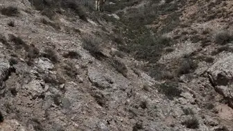 Sivas’ta Mantar Toplamaya Giden Şahıs Kayboldu!