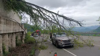 Heyelan Sonrası Ağacın Altında Kalmaktan Son Anda Kurtuldu