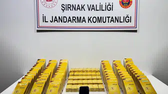 Operasyonda Silah ve Kaçak Ürünler Ele Geçirildi