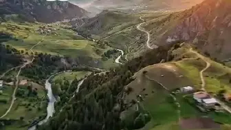 Koyulhisar Belediyesi’nden Kene Uyarısı: “Keneyi Hafife Alma, Tedbiri Elden Bırakma”