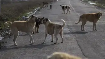 Bakanlık ihlalleri affetmedi! 3 belediye başkanına soruşturma izni