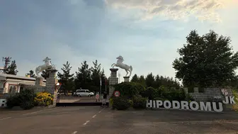 Halı Sahada Başladı, 3 İle Sıçradı! Hipodromlar Kan Gölüne Döndü: 13 Yaralı!