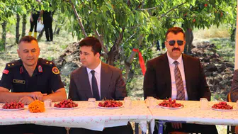 Suşehri’nde Kiraz Hasadı Etkinliği Gerçekleştirildi
