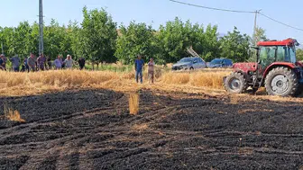 Sivas'ta Ekili Tarla Alevlere Teslim Oldu!