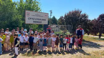 Sivas'ta Minikler Seralara Akın Etti! Kendi Elleriyle Hasat Etti