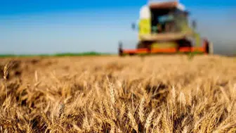 Kırsal kalkınmaya 237,3 milyon liralık tarımsal destek ödemesi yapılacak