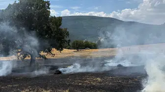 Bolu’da Balya Makinesinden Çıkan Yangın Tarlayı Küle Çevirdi