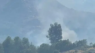 Muğla Akkaya'da Ormanlık Alanda Yangın Çıktı: Bölgeye Ekipler Sevk Edildi
