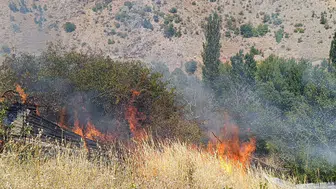 Malatya'da Bağ ve Bahçe Yangını! Çok Sayıda Meyve Ağacı Kül Oldu