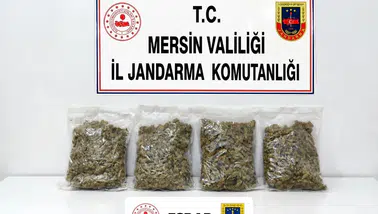 Mersin'de Jandarmadan Narko Baskın! 2 Kilo Esrar Ele Geçirildi, 2 Şüpheli Yakalandı