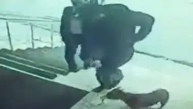 Köpek tekmeleyen kaymakama soruşturma
