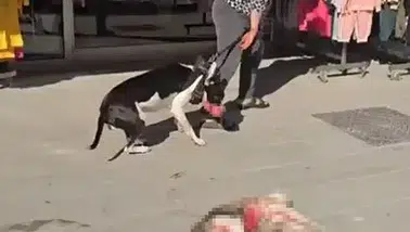 İstanbul'da Dehşet Anları Kamerada! Kadının Tepkisi Şaşırttı