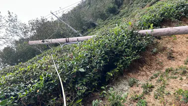 Artvin'de Fırtına Ortalığı Savaş Alanına Çevirdi! 3 İlçede Hasar