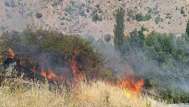 Malatya'da Bağ ve Bahçe Yangını! Çok Sayıda Meyve Ağacı Kül Oldu