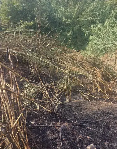 Alanya Toslak Mahallesi'nde Otluk Alan Yangını Büyümeden Söndürüldü