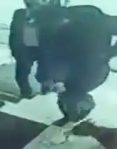 Köpek tekmeleyen kaymakama soruşturma