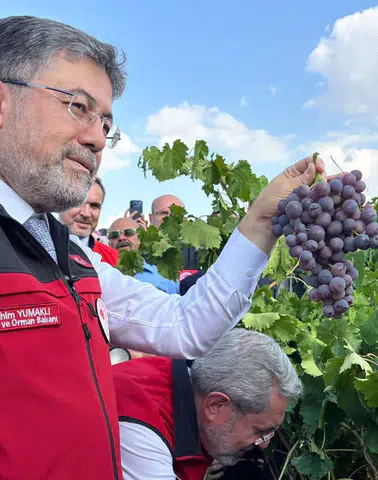Üzüm Üretiminde Tarihi Rekor: Bakan Yumaklı Açıkladı